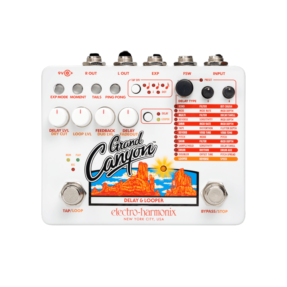 Electro-Harmonix Grand Canyon Delay and Looper